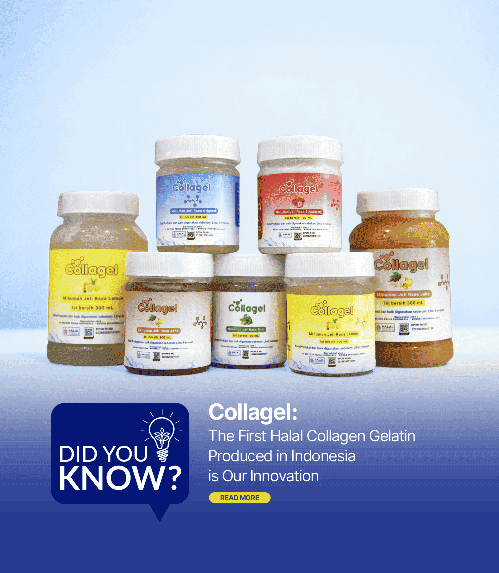 1. Collagel_eng