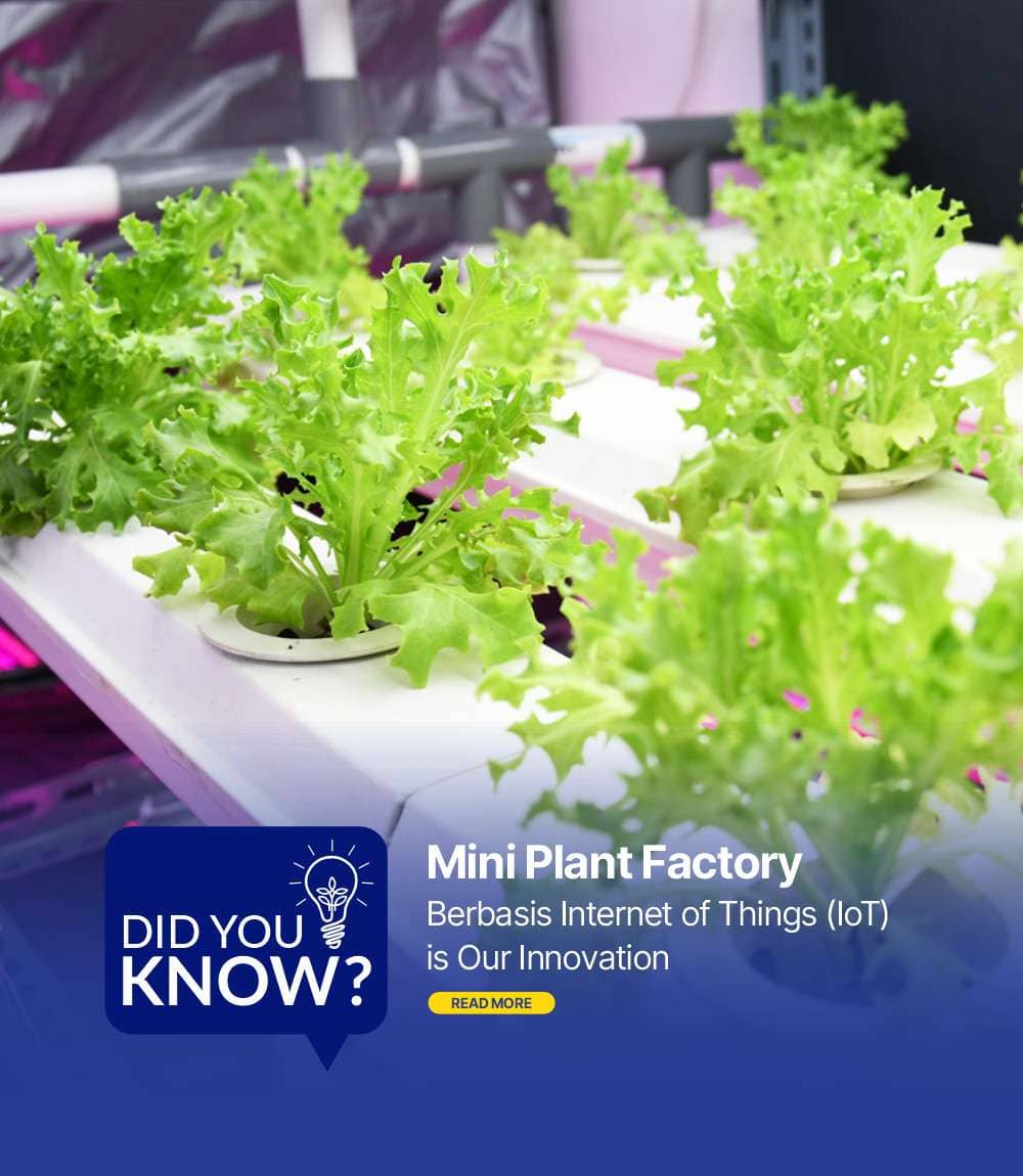 7. miniplant_in